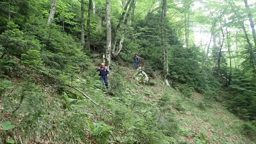 Фото - Двое туристов пропали без вести в горах Сочи